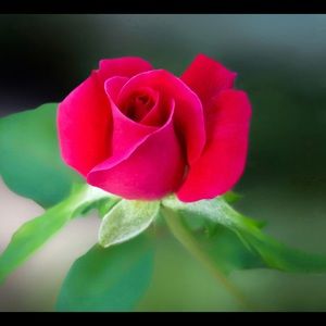 Meet your Posher, Val